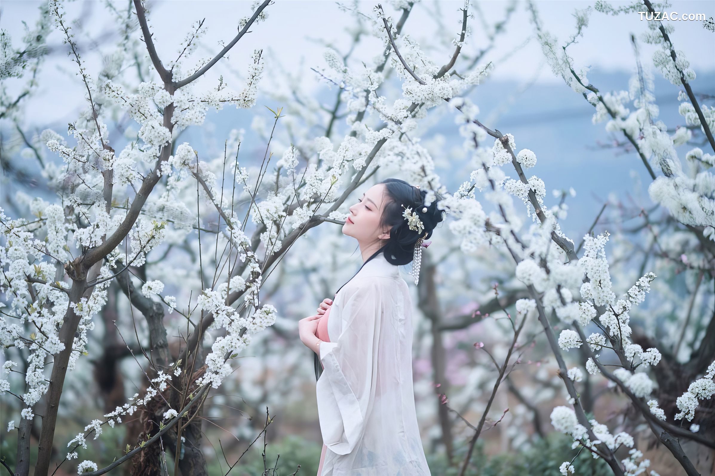 年年-三月榕-March-Banyan-Tree