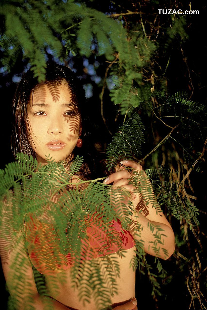 NS Eyes_ SF-No.146 Yoko Kamon 嘉門洋子 写真集[50P]