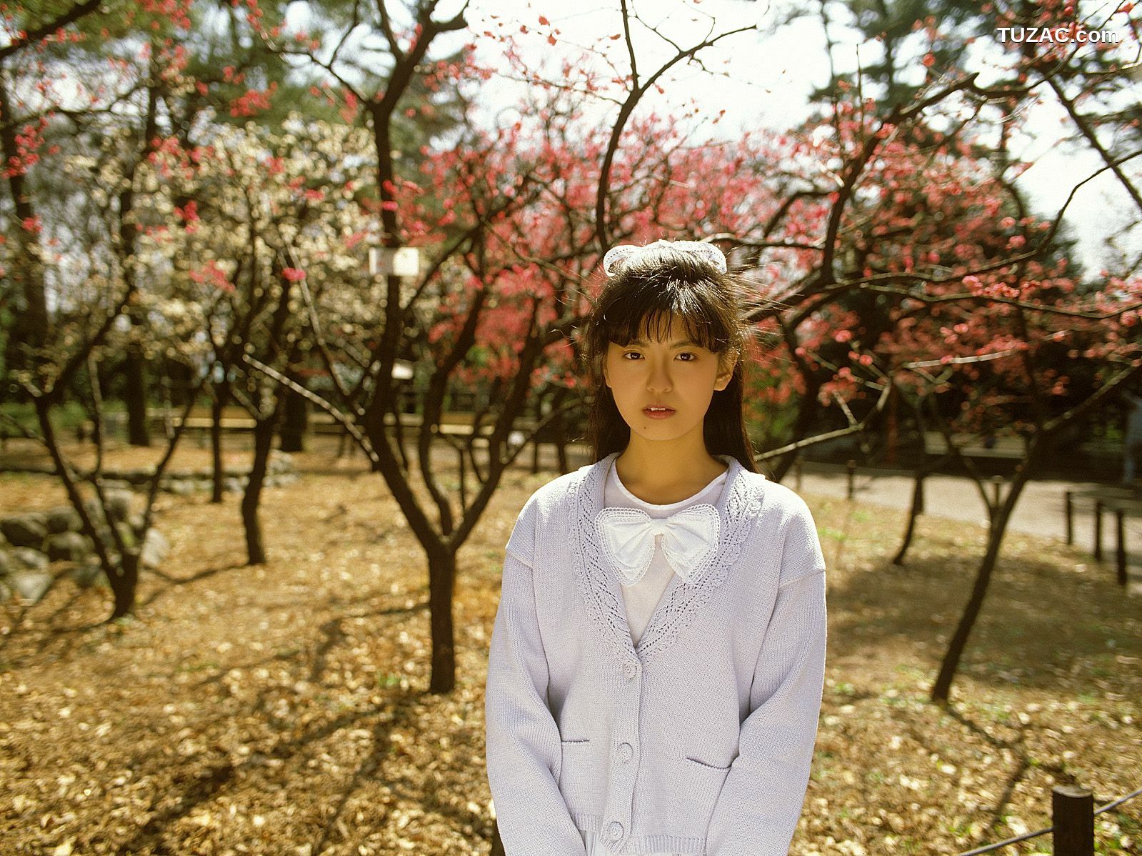 NS Eyes_ SF-No.212 Yoko Minamino 南野陽子 写真集[80P]