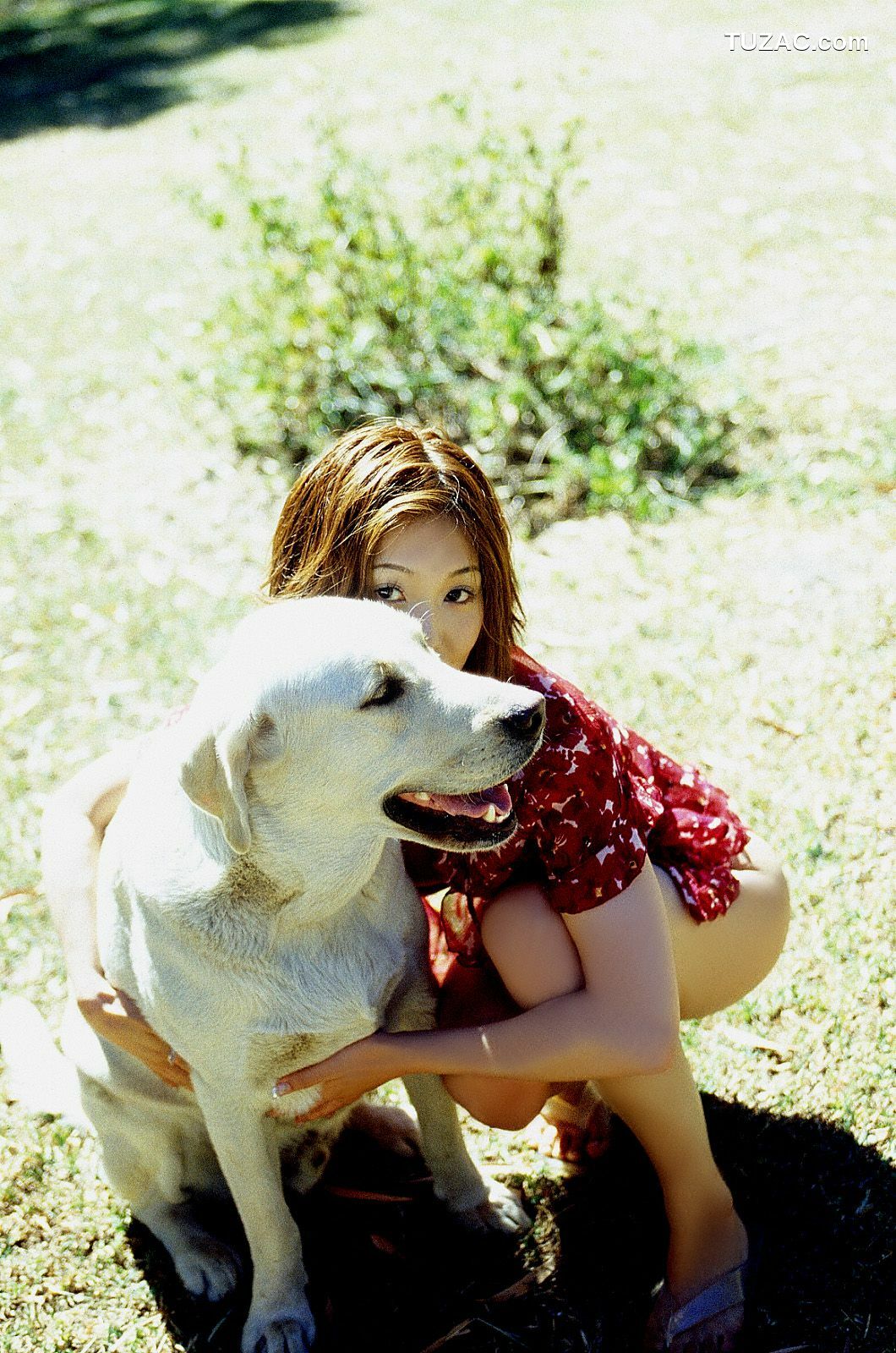 NS Eyes_ SF-No.225 Noriko Sagara 相楽のり子 写真集[100P]