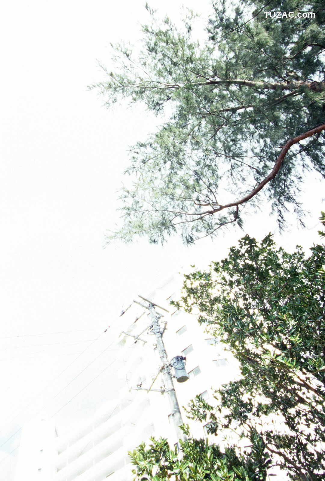 NS Eyes_ SF-No.390 Azusa Yamamoto 山本梓 写真集[105P]