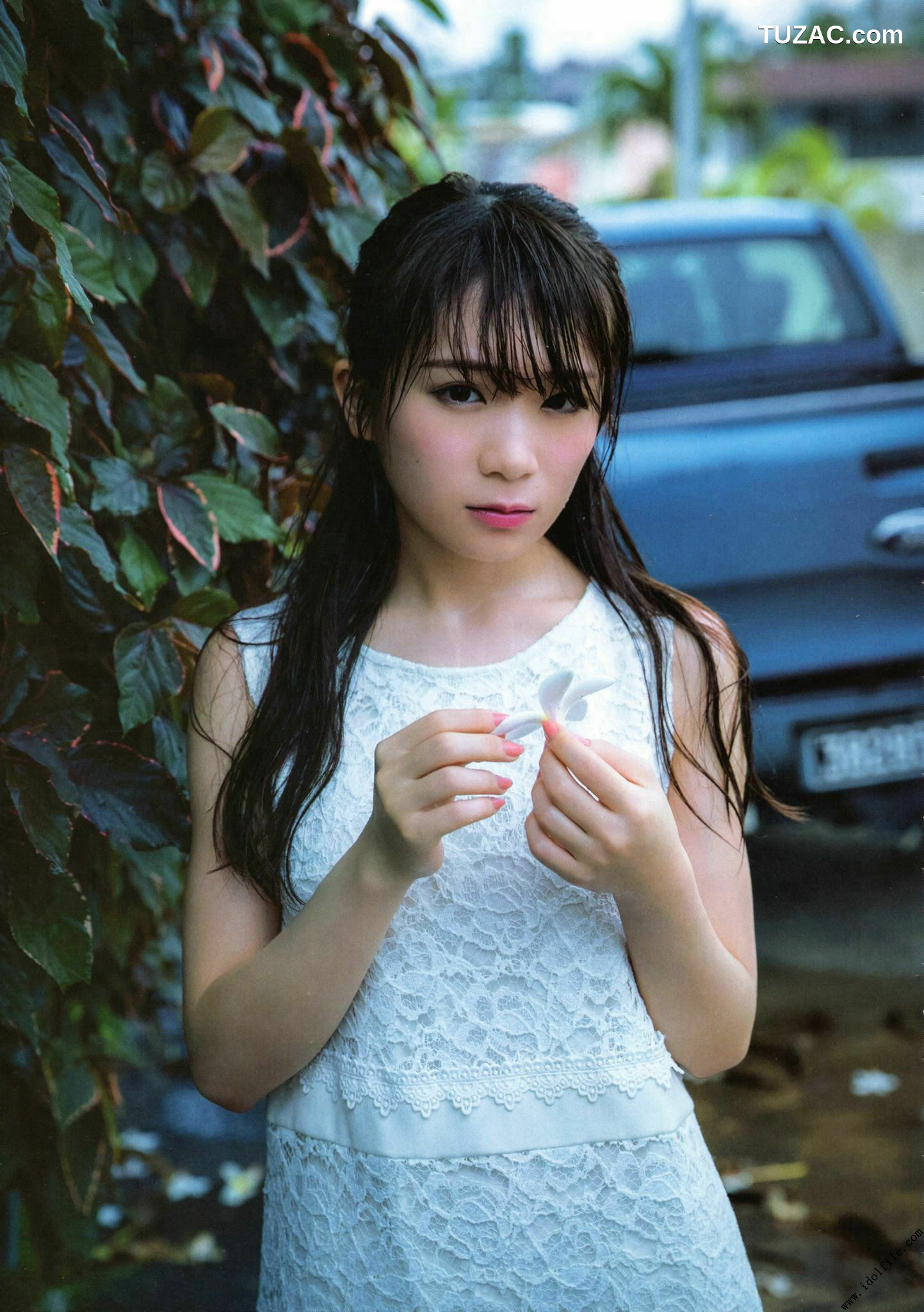 PB写真集_秋元真夏 1st《真夏の気圧配置》 写真集[145P]