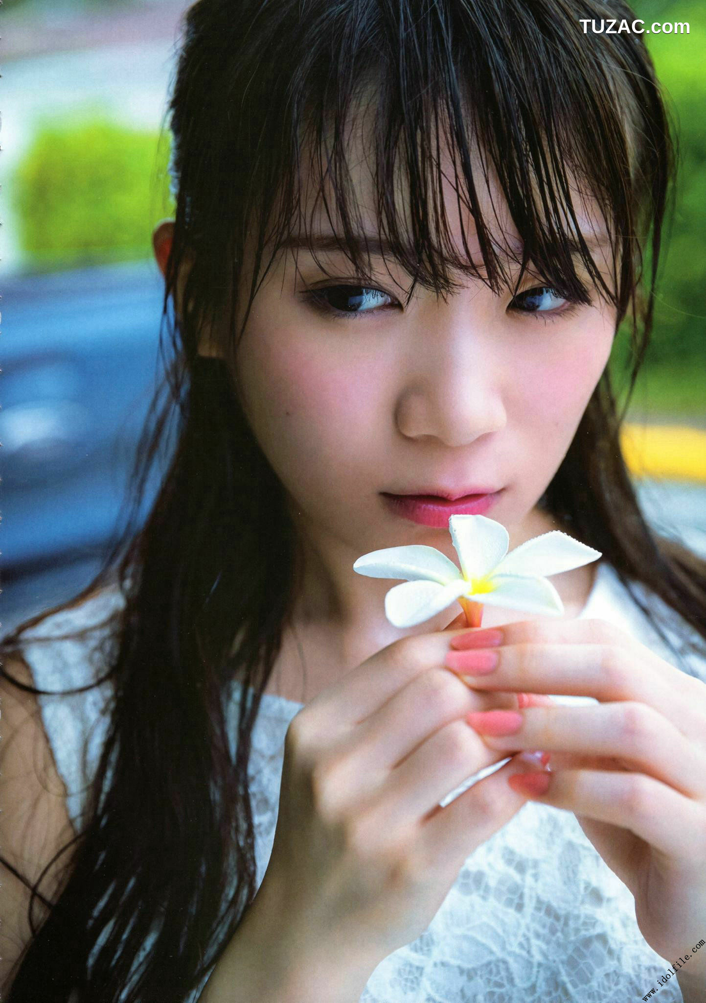 PB写真集_秋元真夏 1st《真夏の気圧配置》 写真集[145P]