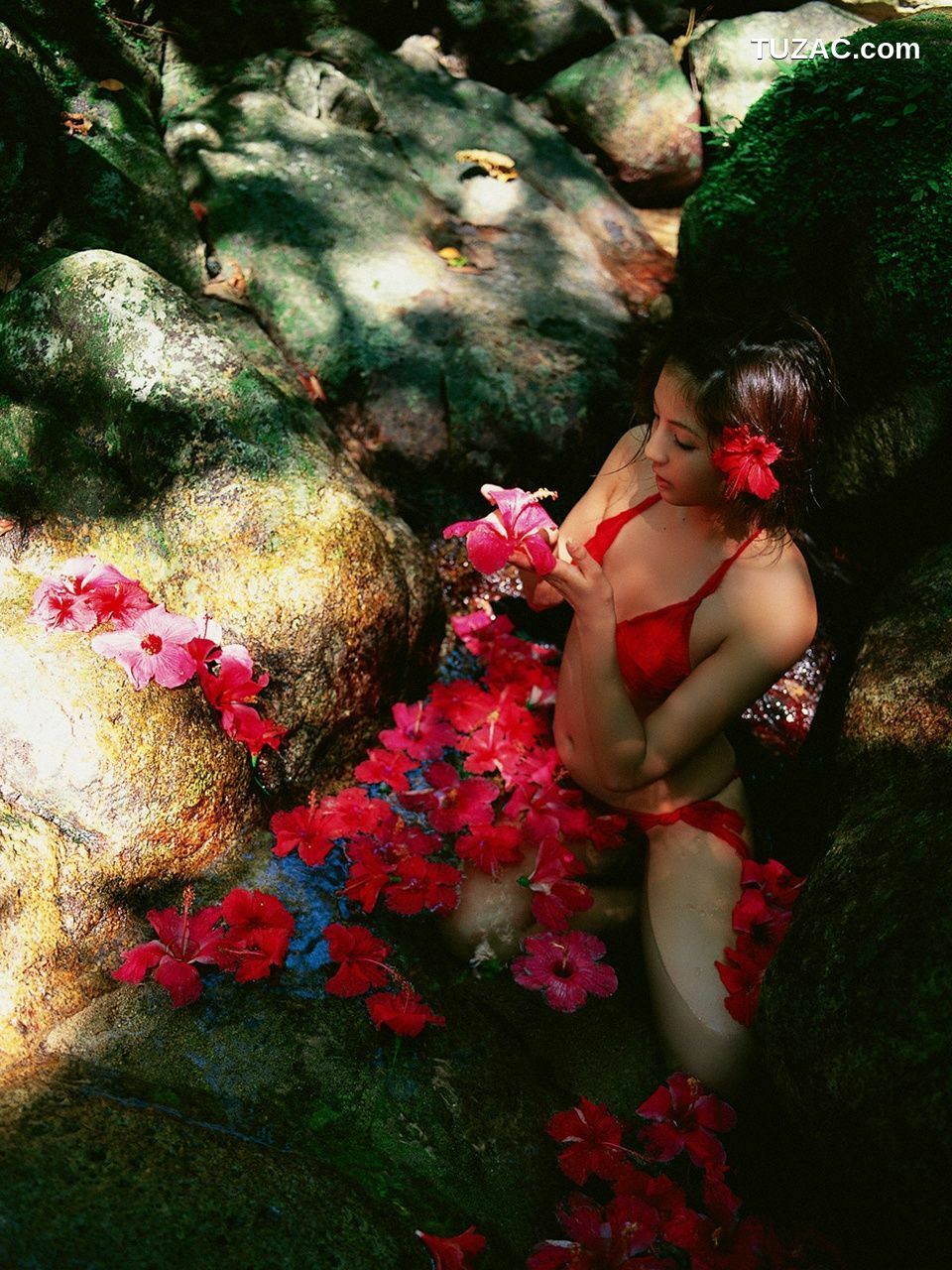 VYJ_長崎莉奈《LIGHT IN THE NATURE》 写真集[96P]