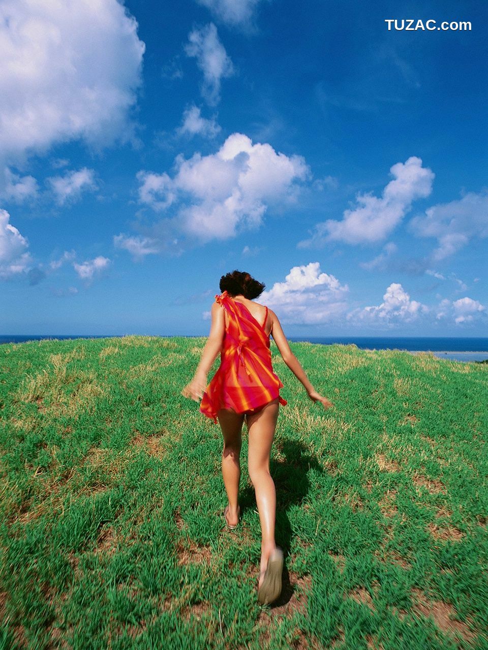 VYJ_長崎莉奈《LIGHT IN THE NATURE》 写真集[96P]