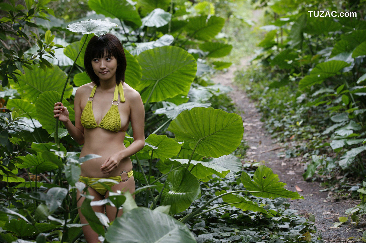 WPB写真_夏菜《The Gravure~最終章~》 No.166 写真集[113P]