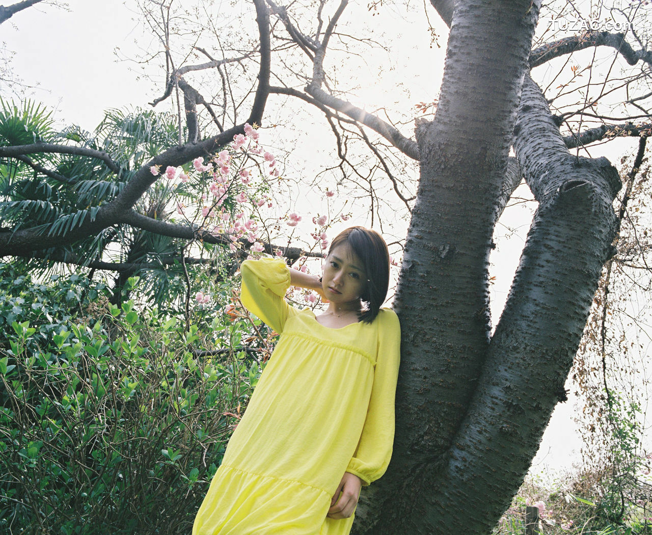 WPB写真_安達祐実 Adachi Yumi No.161 写真集[150P]