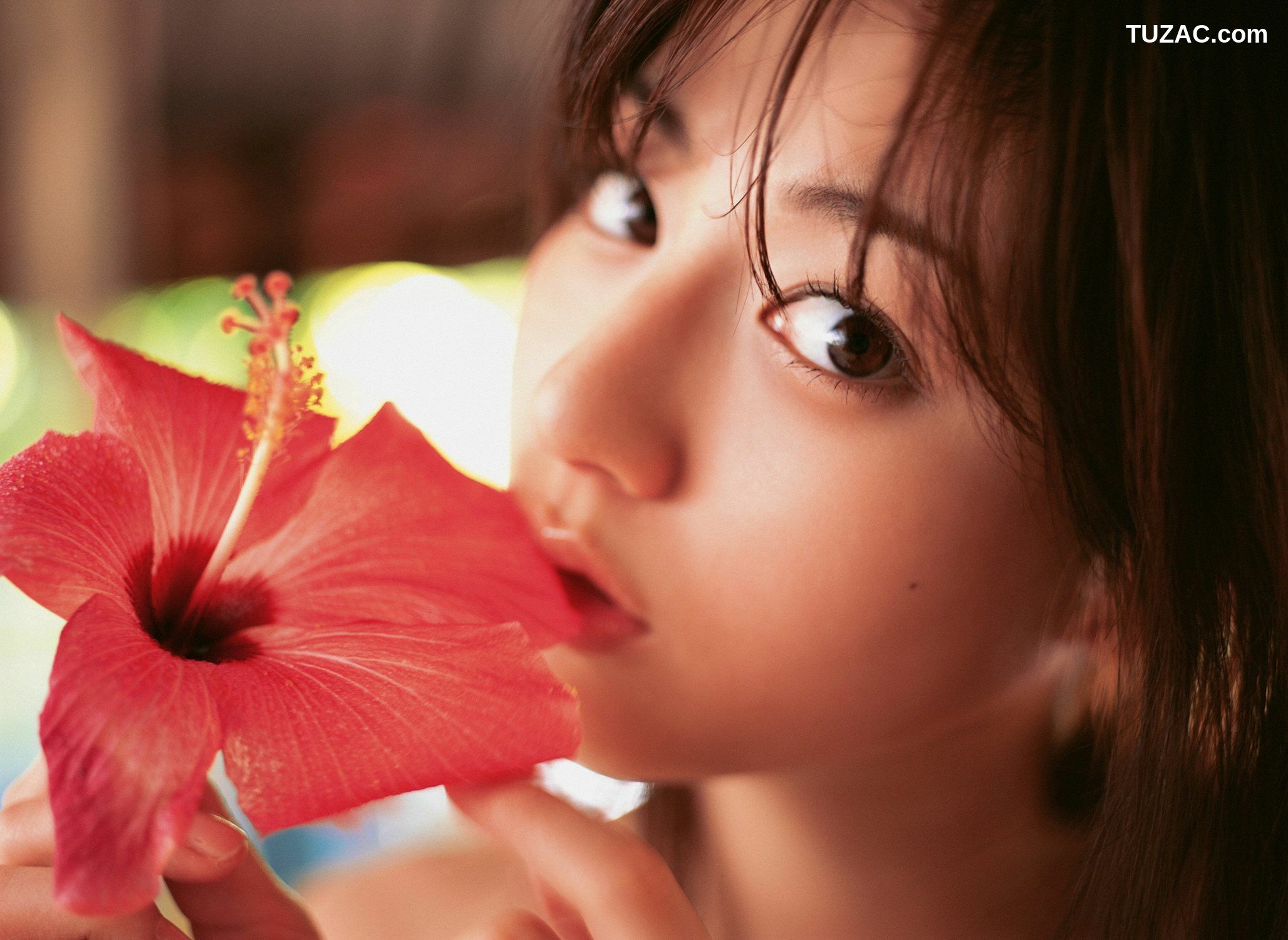 YS Web_ Vol.238 Yumi Sugimoto 杉本有美 写真集[116P]