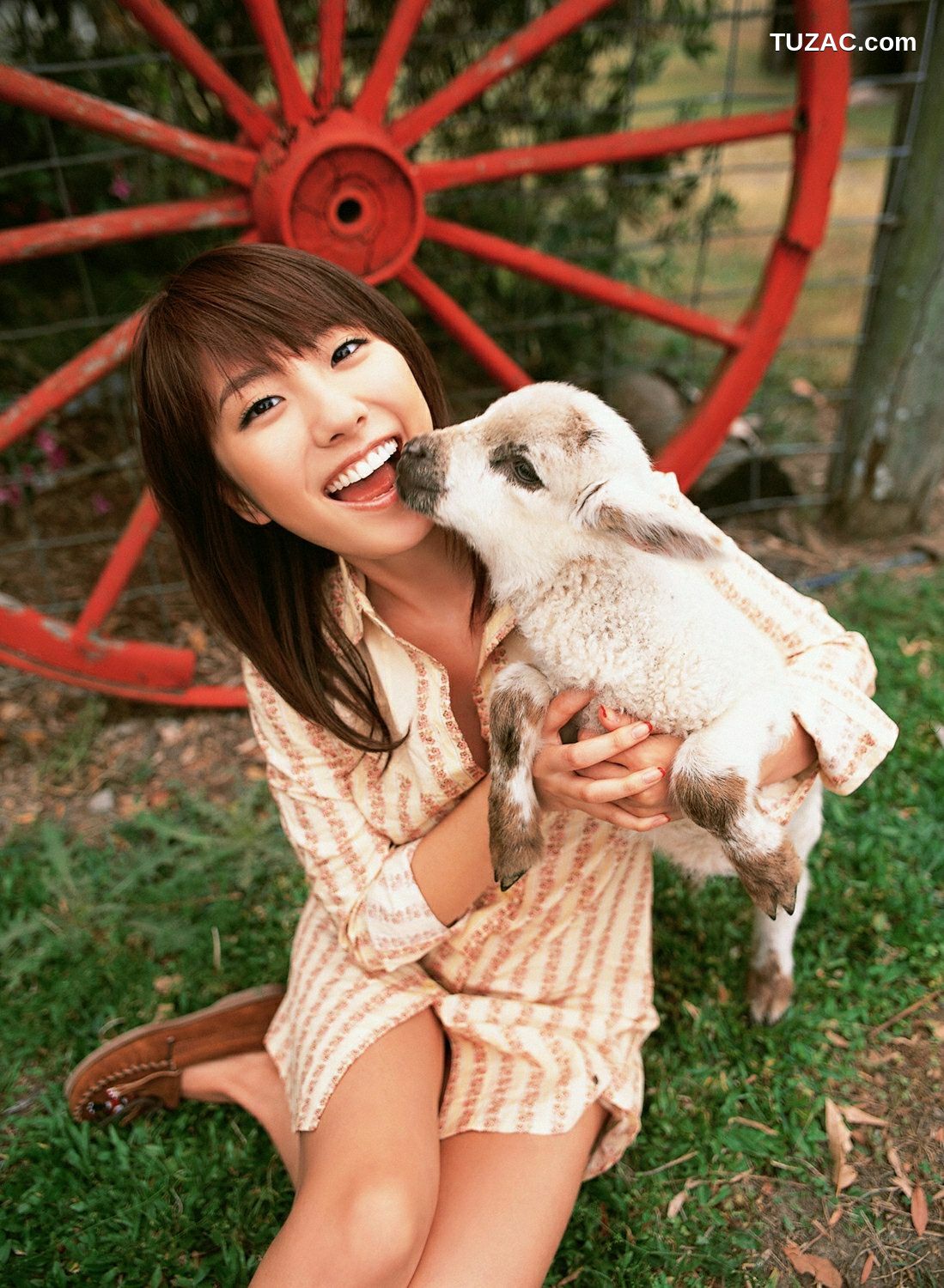 YS Web_山本梓《フイルドでいこう!》写真集 Vol.210[61P]