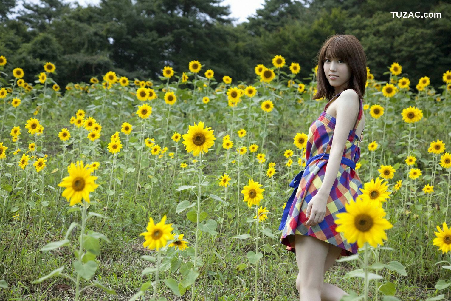 YS Web_秦みずほ/秦瑞穂《SLENDER BEAUTY&hellip;魅せます!!》写真集 Vol.331[100P]