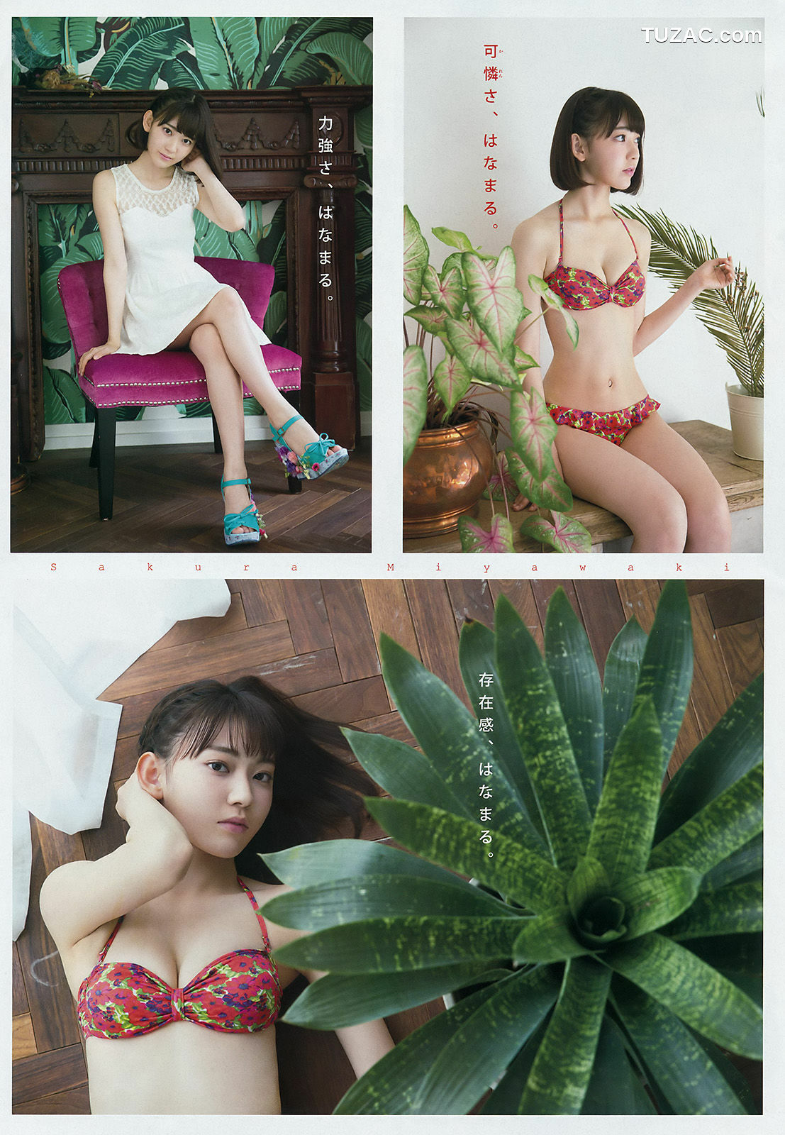 Young Magazine杂志写真_ 宮脇咲良 大澤玲美 2016年No.41 写真杂志[13P]