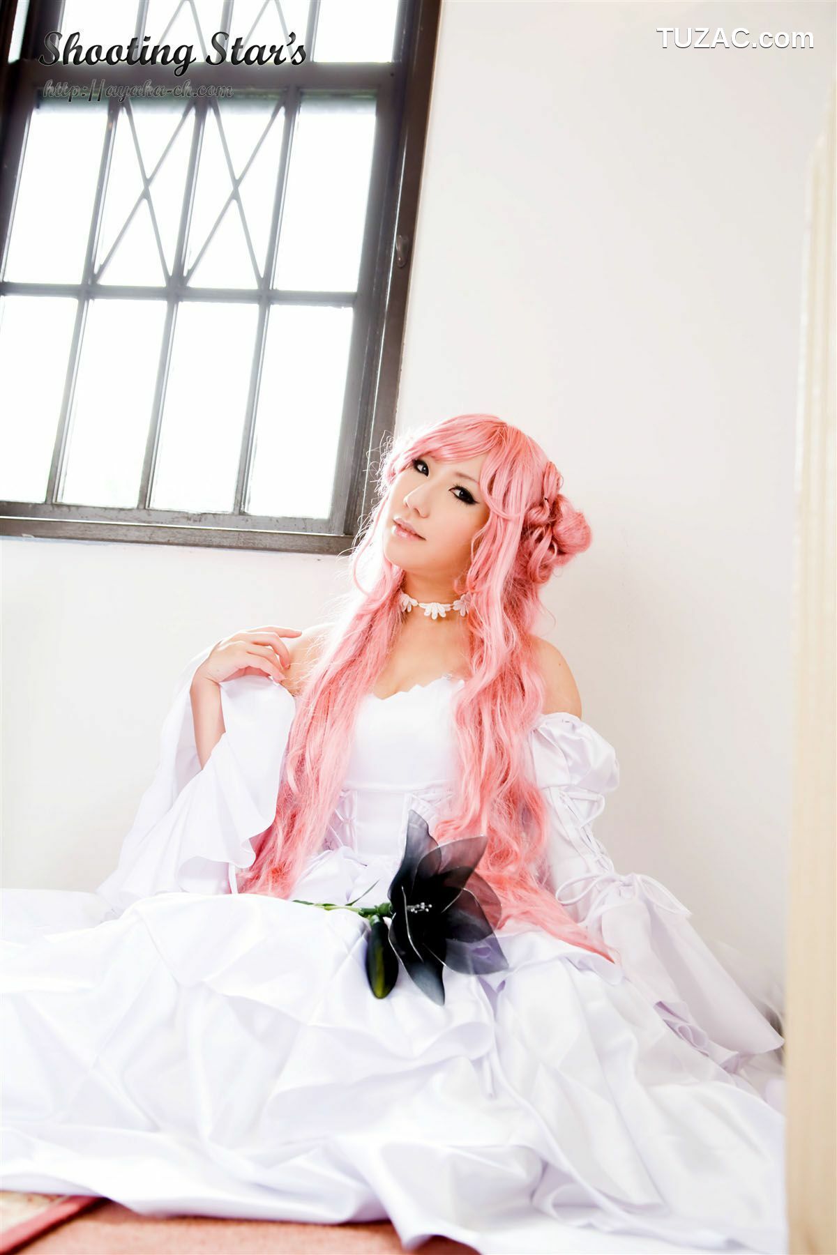 日本CosPlay_サク (绫香) 《Code Geass》C.C.+Euphemia li Britannia 写真集[66P]