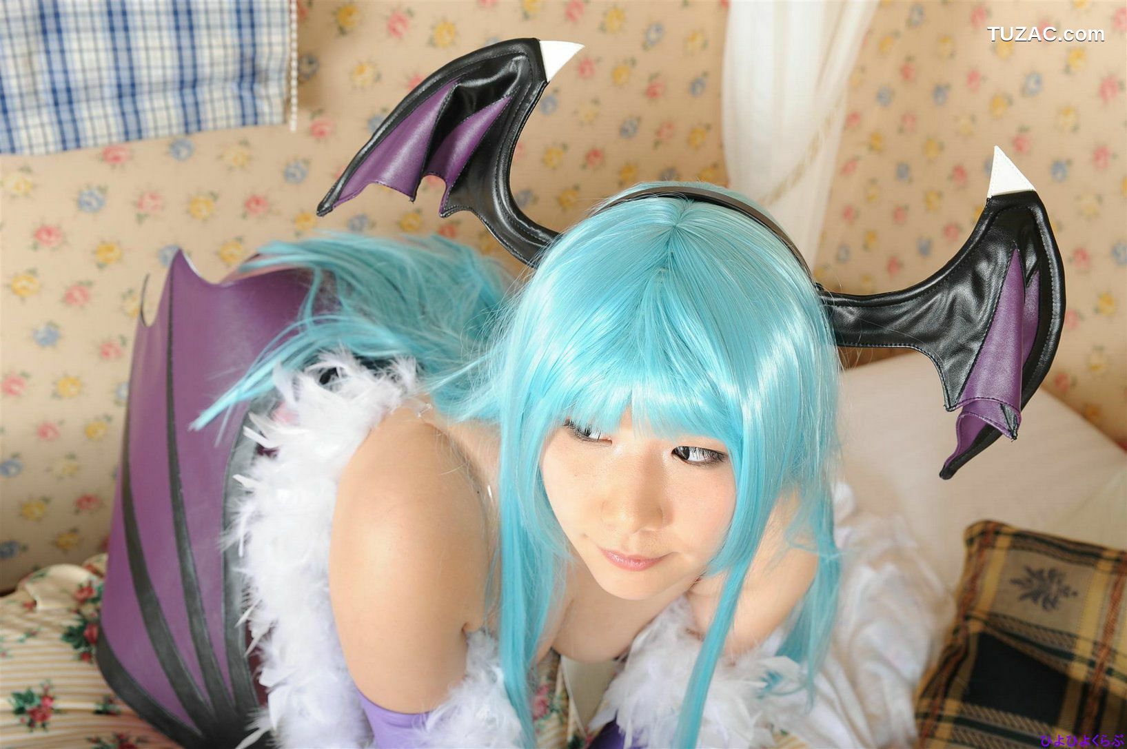 日本CosPlay_丹雫ひよ《Vampire》Morrigan Aensland  写真集[100P]