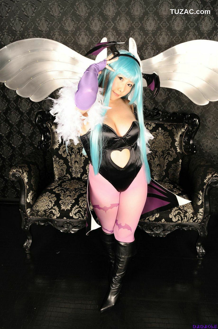 日本CosPlay_丹雫ひよ《Vampire》Morrigan Aensland  写真集[100P]