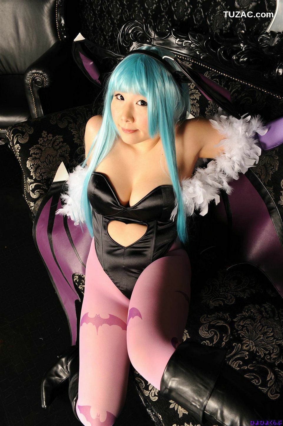 日本CosPlay_丹雫ひよ《Vampire》Morrigan Aensland  写真集[100P]