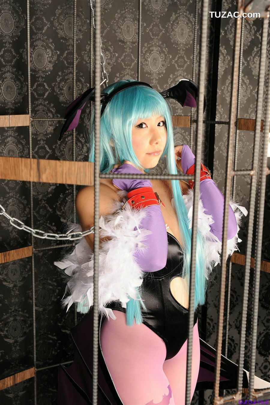 日本CosPlay_丹雫ひよ《Vampire》Morrigan Aensland  写真集[100P]