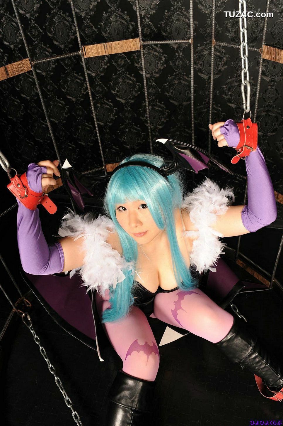 日本CosPlay_丹雫ひよ《Vampire》Morrigan Aensland  写真集[100P]