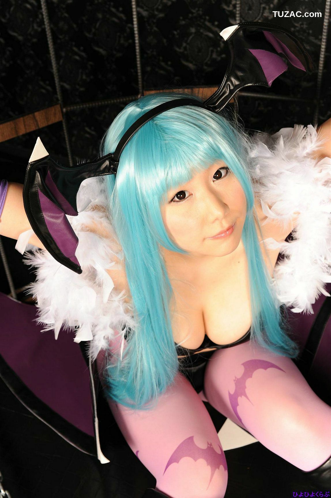 日本CosPlay_丹雫ひよ《Vampire》Morrigan Aensland  写真集[100P]