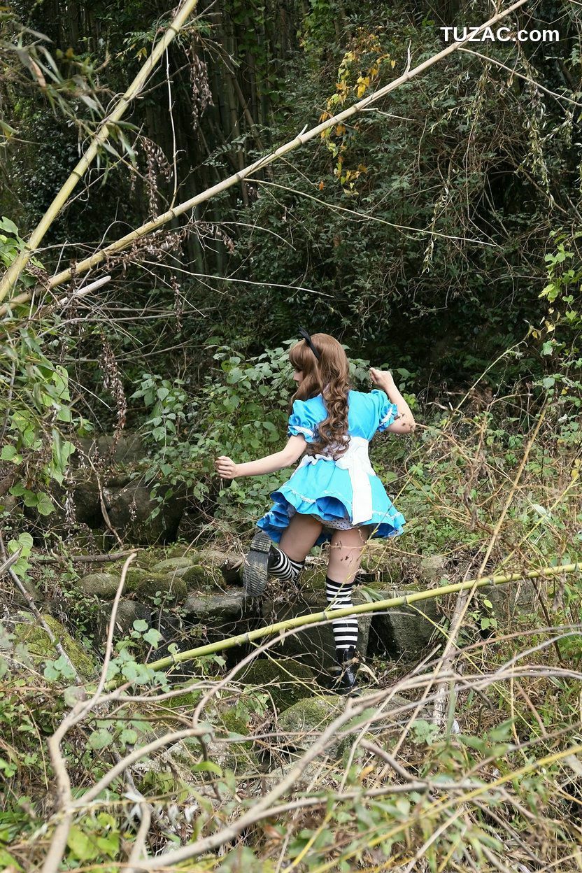 日本CosPlay_日暮らん 《Alice&#039;s Adventures in Wonderland》 Lite.Ver. 写真集[100P]