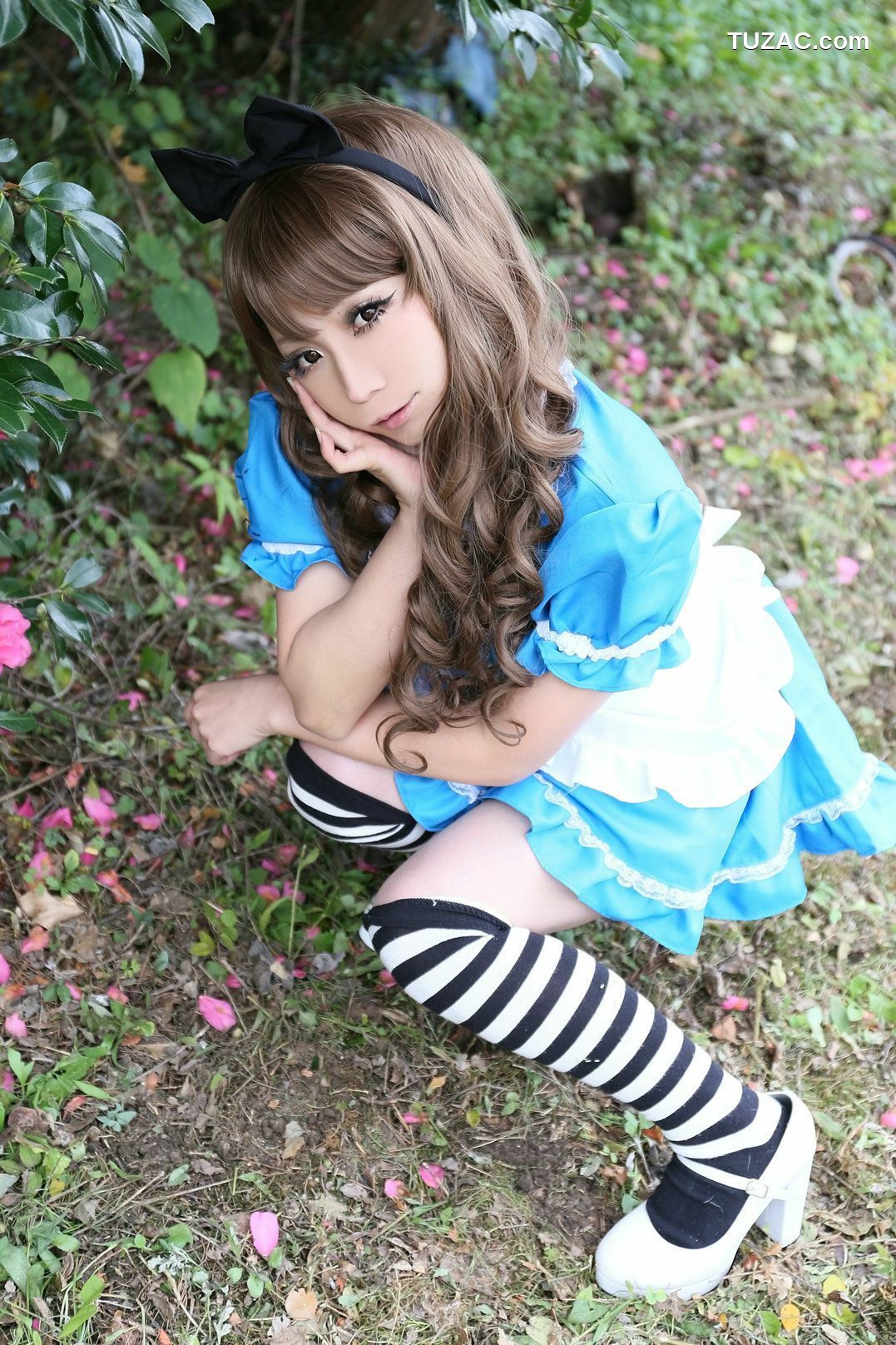 日本CosPlay_日暮らん 《Alice&#039;s Adventures in Wonderland》 Lite.Ver. 写真集[100P]