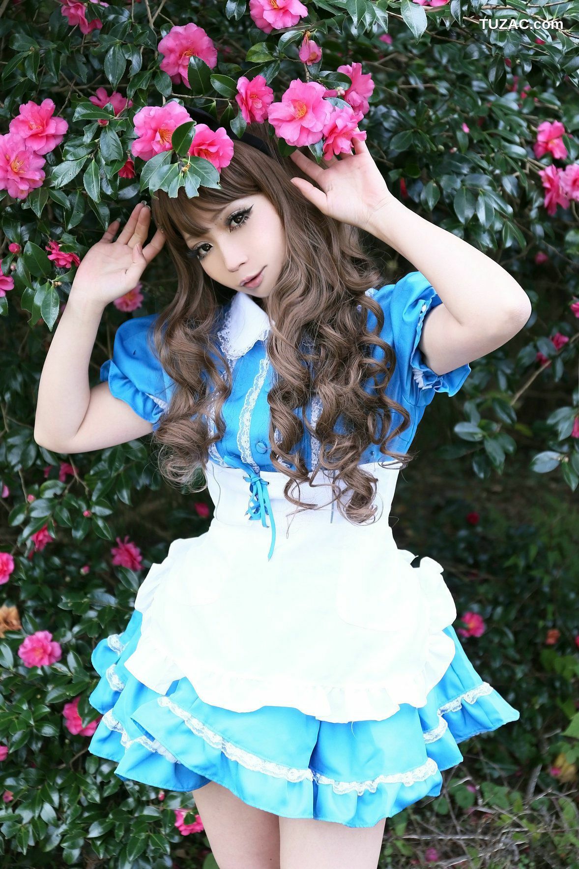 日本CosPlay_日暮らん 《Alice&#039;s Adventures in Wonderland》 Lite.Ver. 写真集[100P]