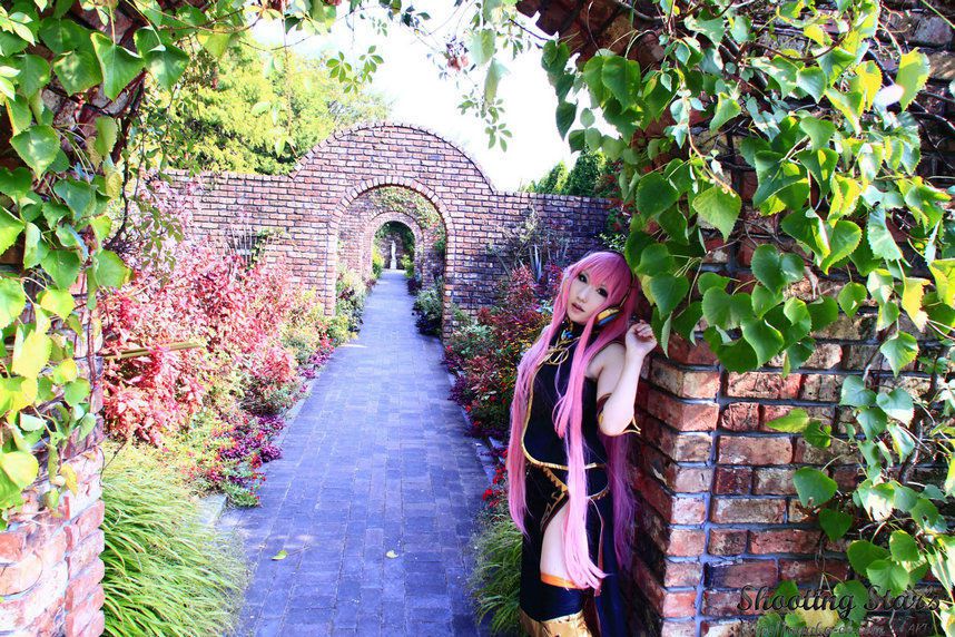 日本CosPlay_绫香 (Sakuサク) 《VOCALOID》 Megurine Luka 写真集[133P]