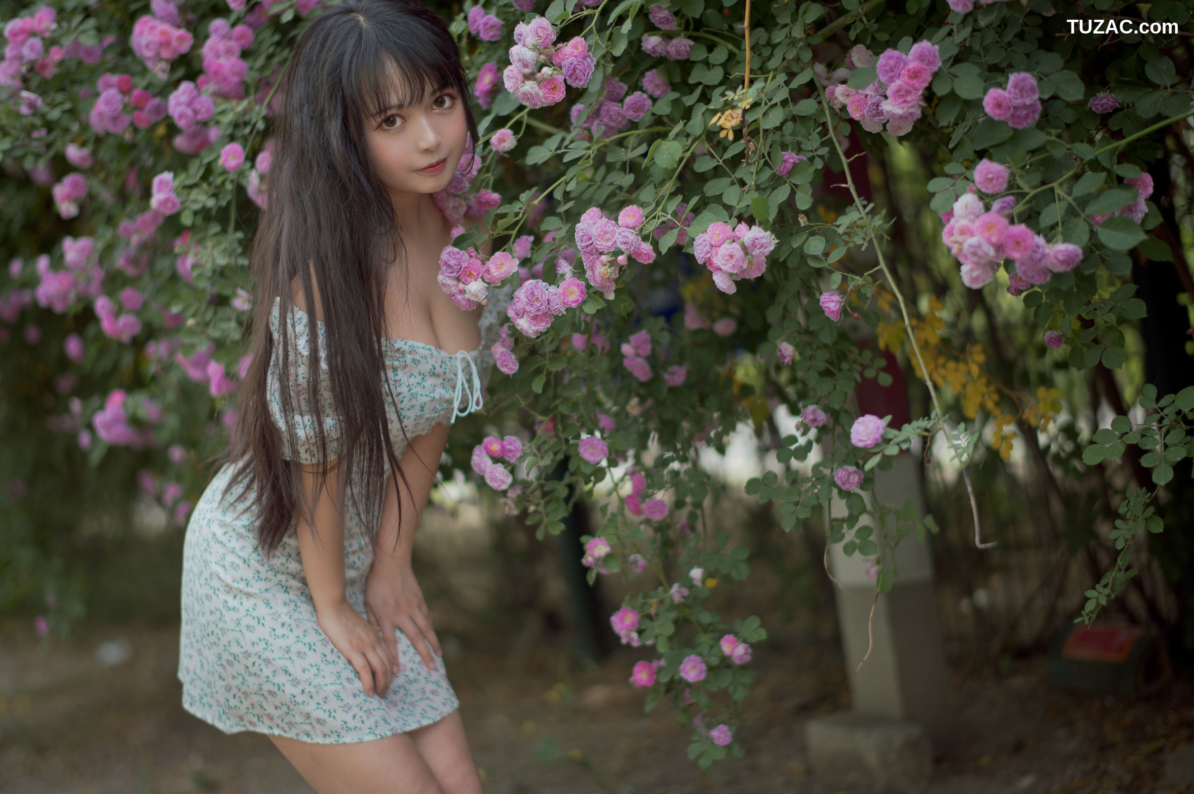 MTCos喵糖映画-Vol.338-《蔷薇少女》