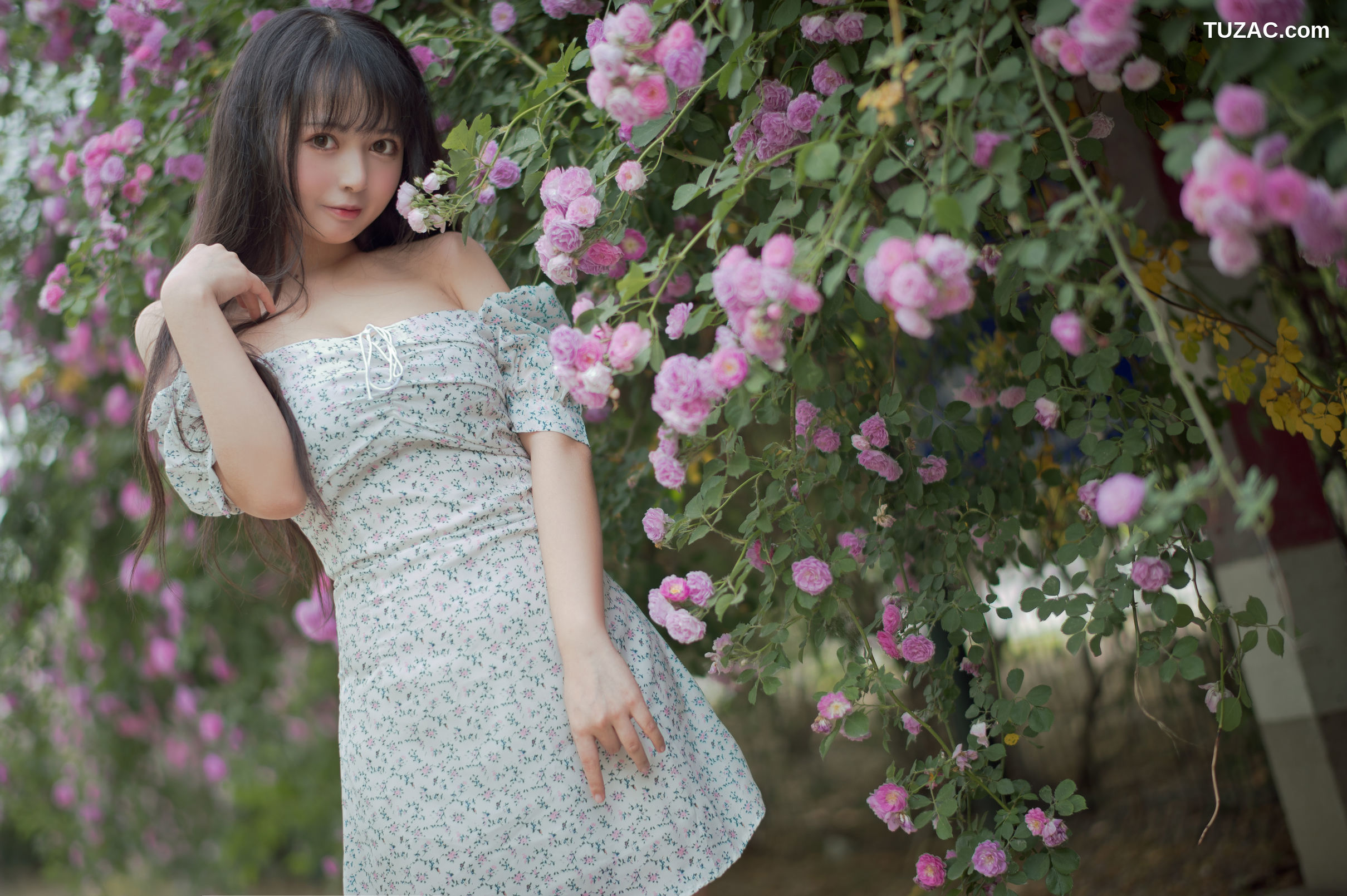 MTCos喵糖映画-Vol.338-《蔷薇少女》