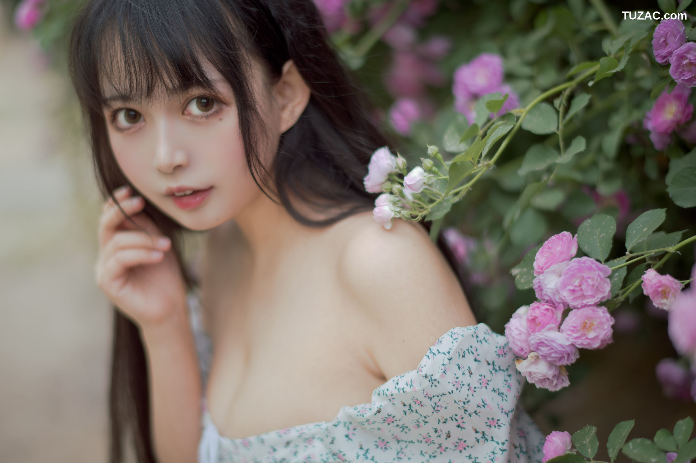 MTCos喵糖映画-Vol.338-《蔷薇少女》