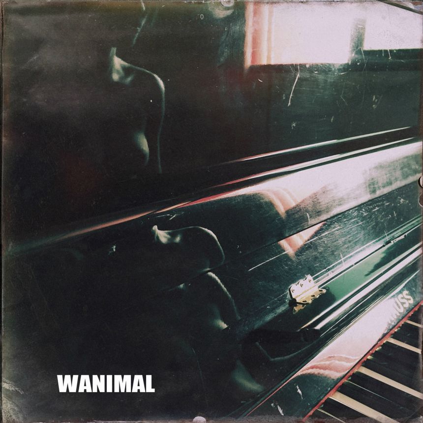 WANIMAL出品无圣光套图（二十一）[104P]