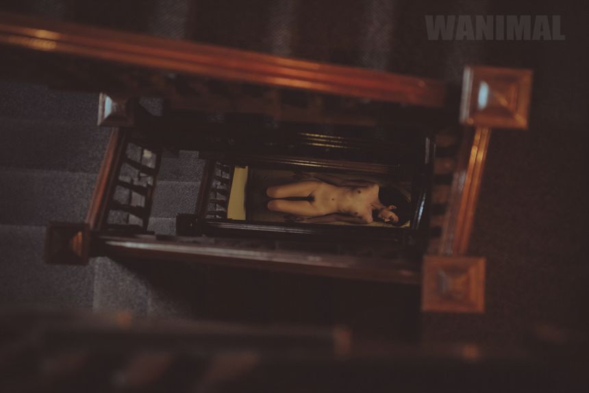 WANIMAL出品无圣光套图（二十二）[86P]