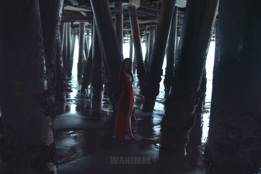WANIMAL出品无圣光套图（二十二）[86P]