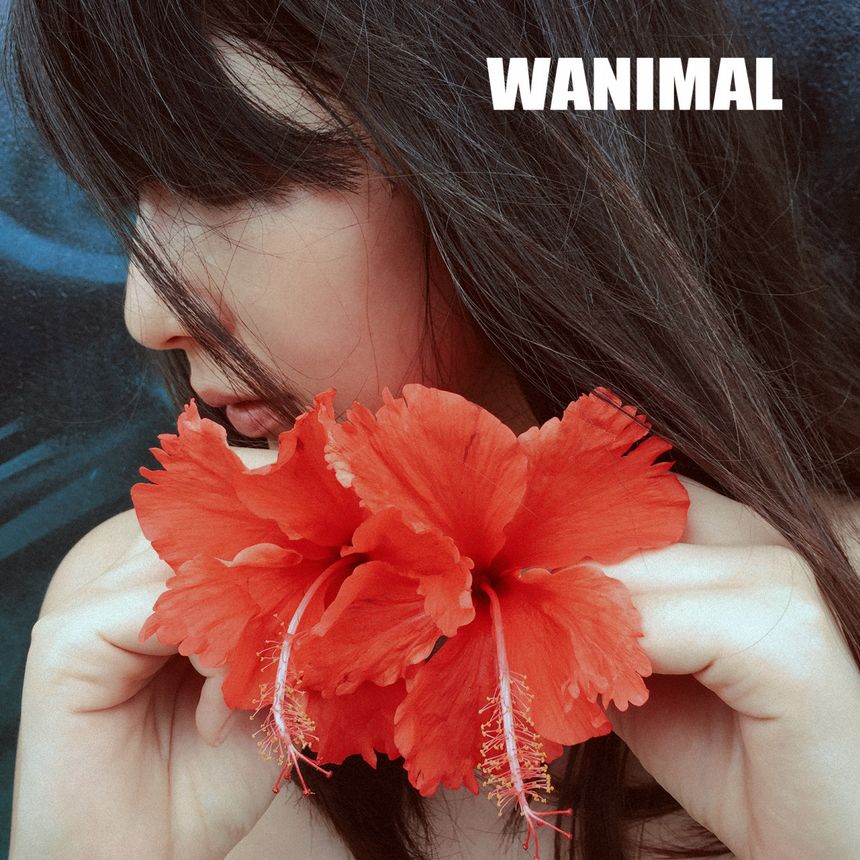 WANIMAL出品无圣光套图（二十二）[86P]