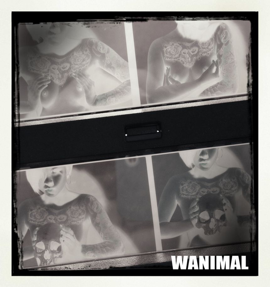 WANIMAL出品无圣光套图（二）[107P]