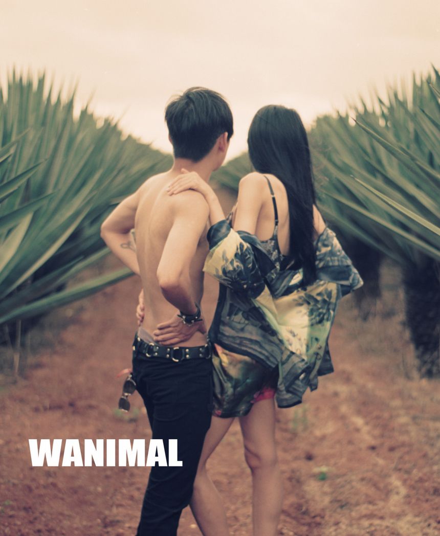 WANIMAL出品无圣光套图（五）[130P]