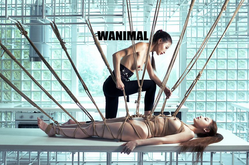 WANIMAL出品无圣光套图（十四）[112P]