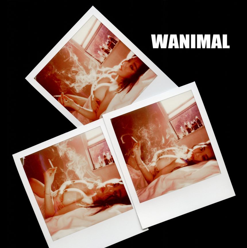 WANIMAL出品无圣光套图（十）[67P]