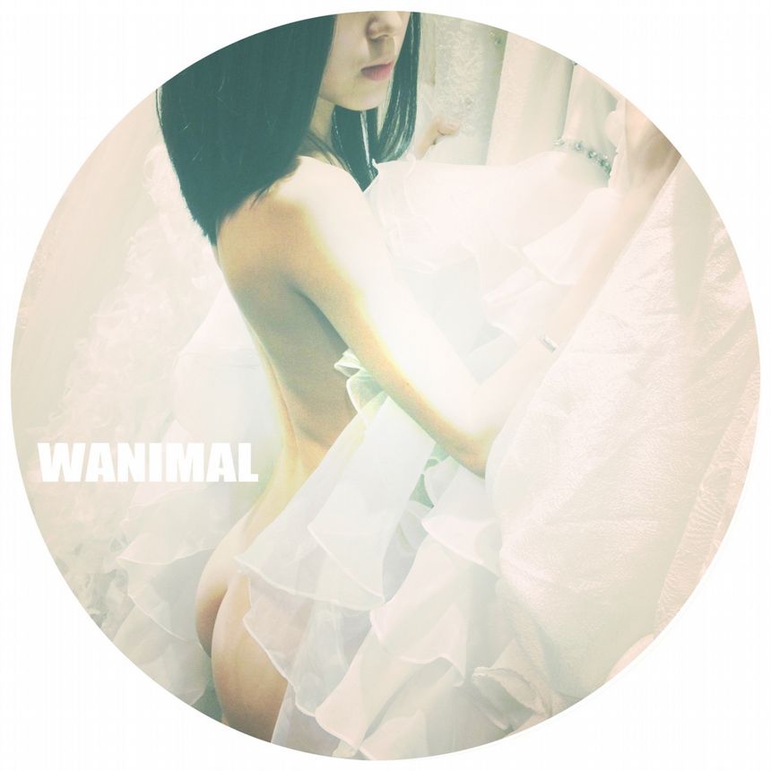 WANIMAL出品无圣光套图（四）[71P]