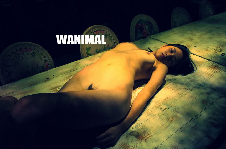 WANIMAL官方出品10月VIP无圣光套图[124P]