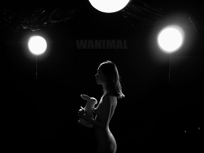 WANIMAL官方出品2017年7月VIP无圣光套图[159P]