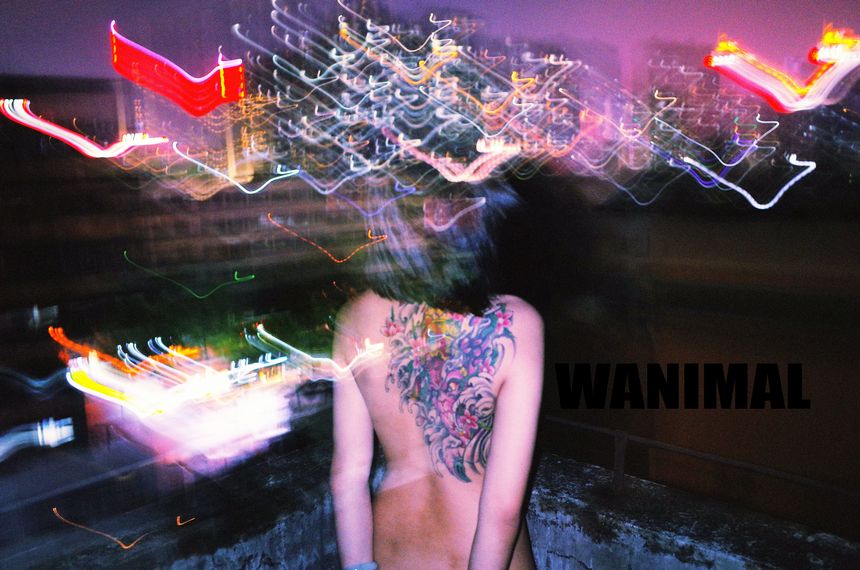 WANIMAL官方出品2017年7月VIP无圣光套图[159P]