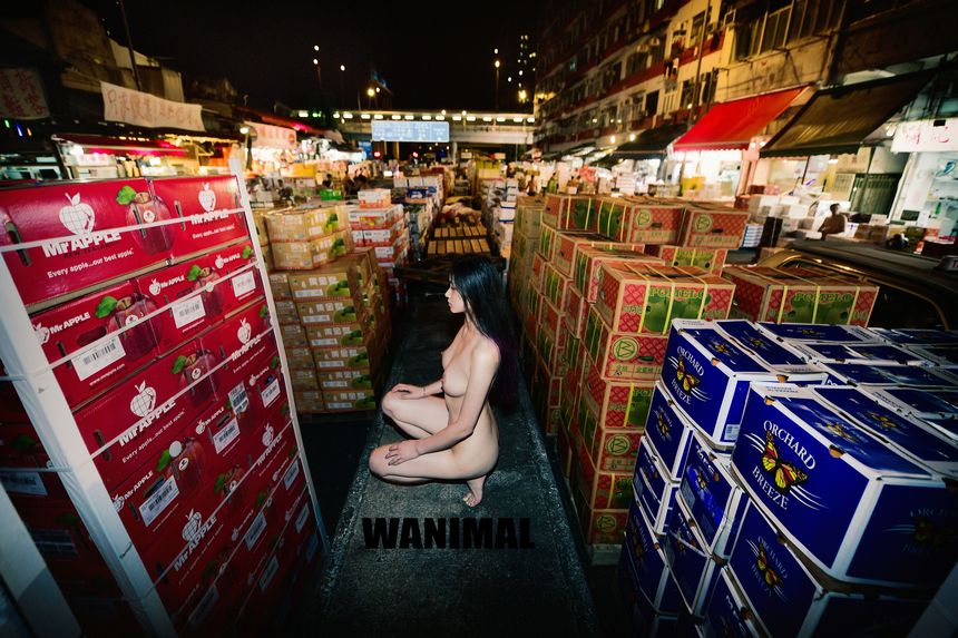 WANIMAL官方出品2017年7月VIP无圣光套图[159P]