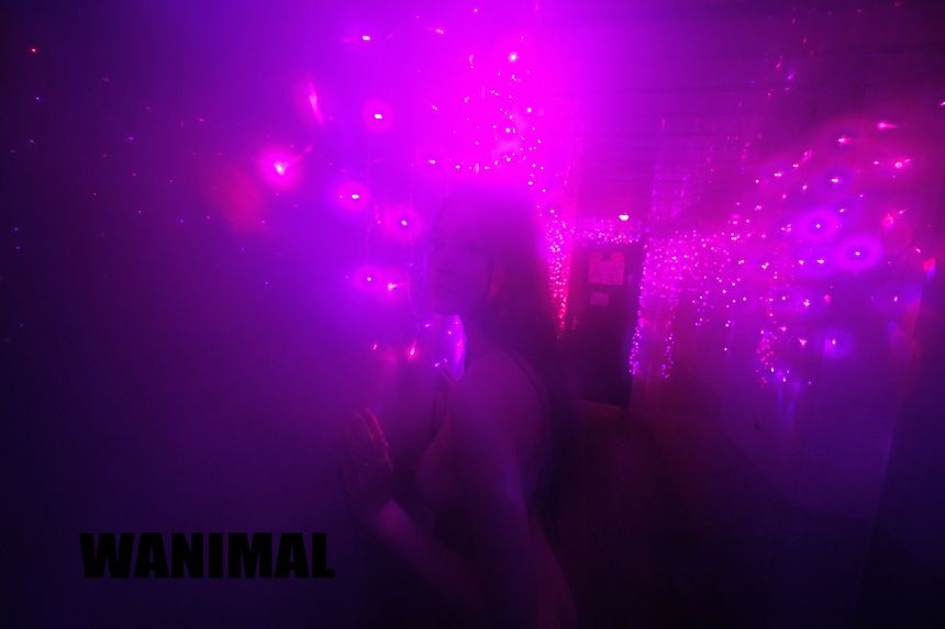 WANIMAL官方出品2017年7月VIP无圣光套图[159P]