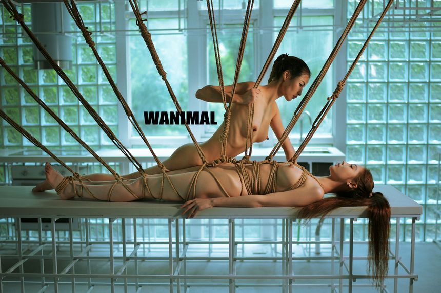 WANIMAL官方出品2017年7月VIP无圣光套图[159P]