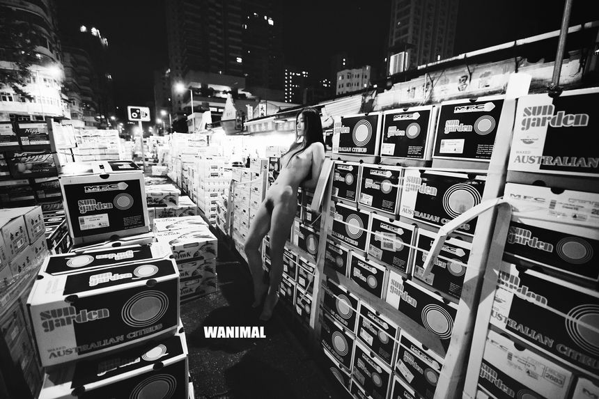 WANIMAL官方出品2017年7月VIP无圣光套图[159P]