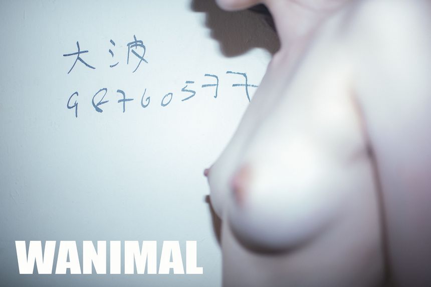 WANIMAL官方出品2017年7月VIP无圣光套图[159P]