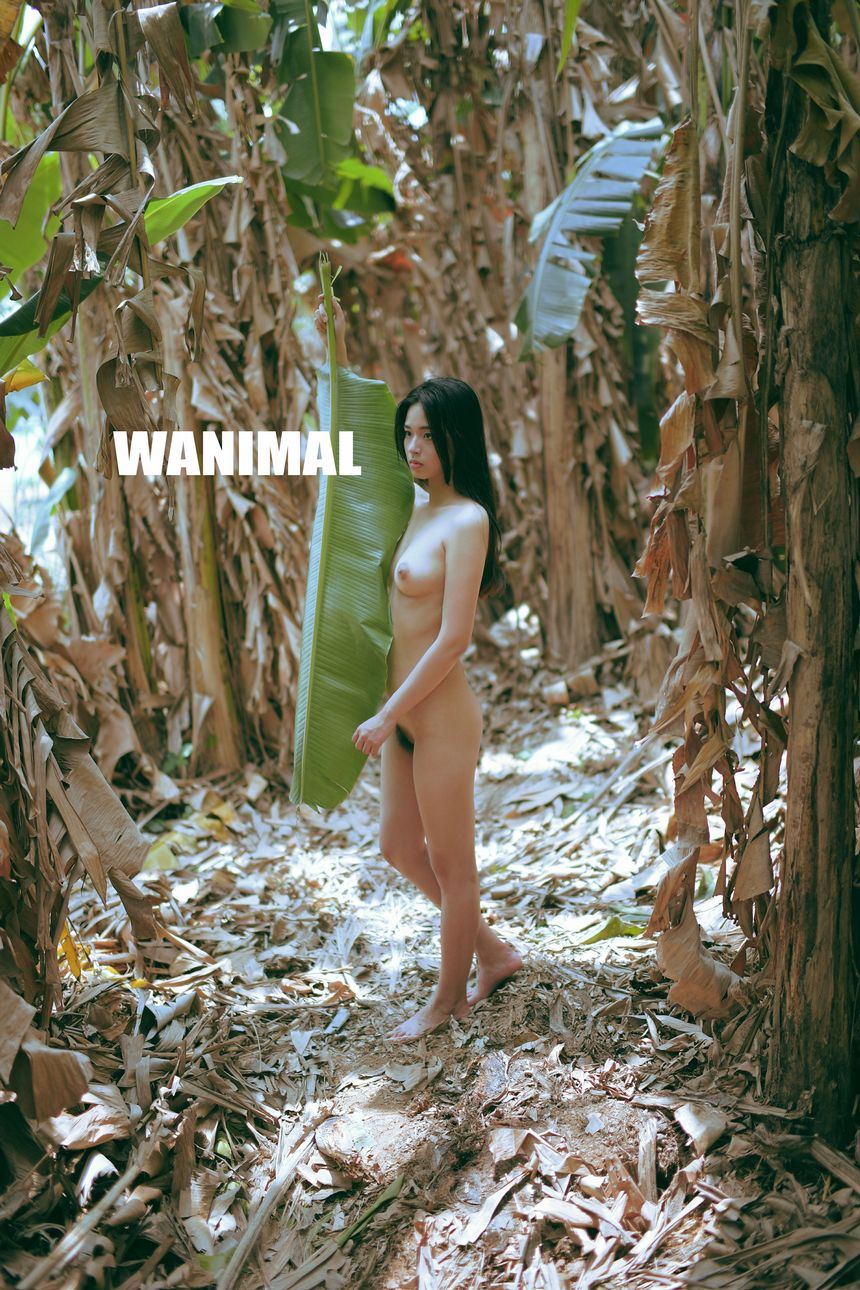 WANIMAL官方出品2017年7月VIP无圣光套图[159P]