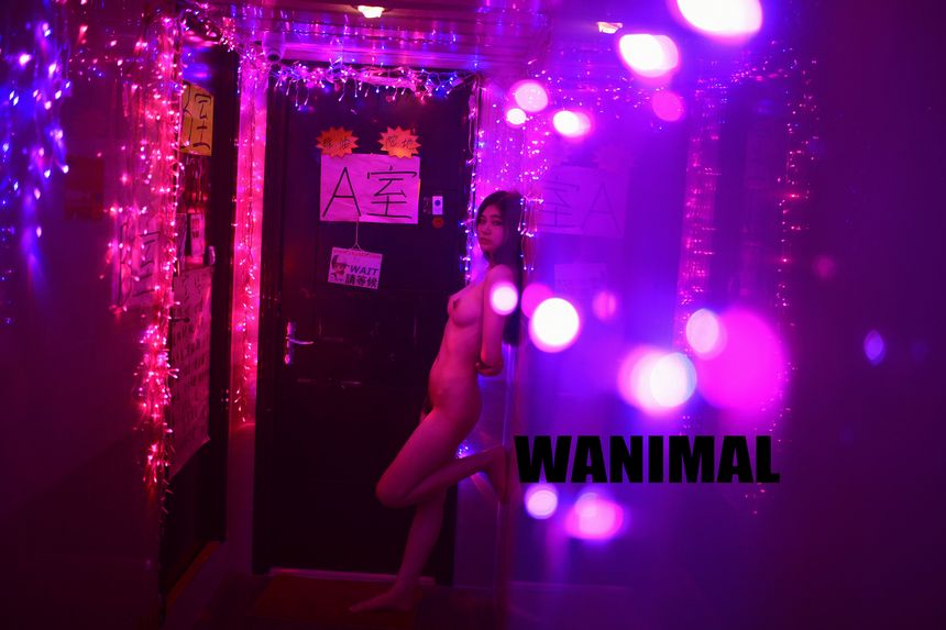 WANIMAL官方出品2017年7月VIP无圣光套图[159P]