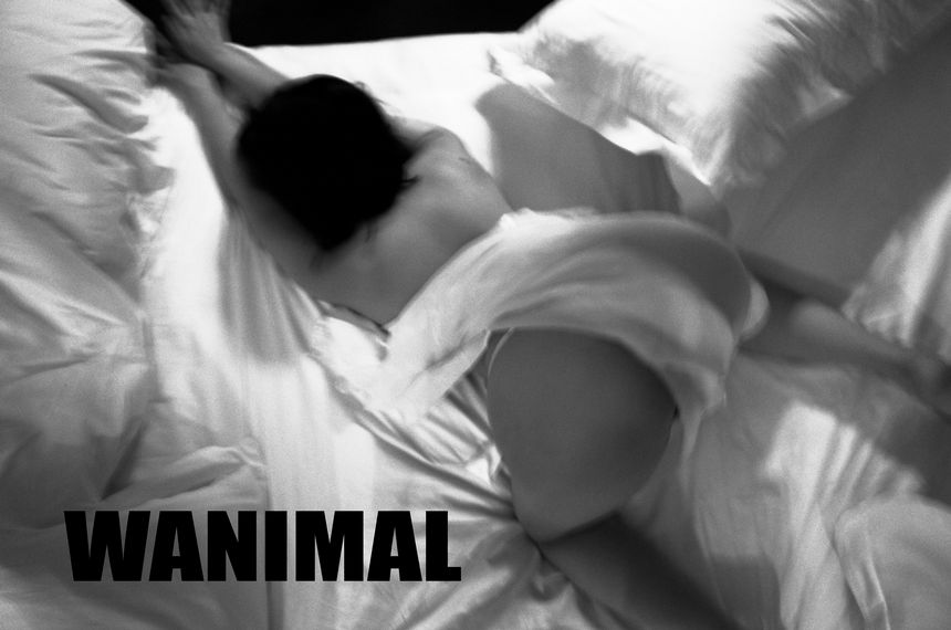 WANIMAL官方出品2017年7月VIP无圣光套图[159P]