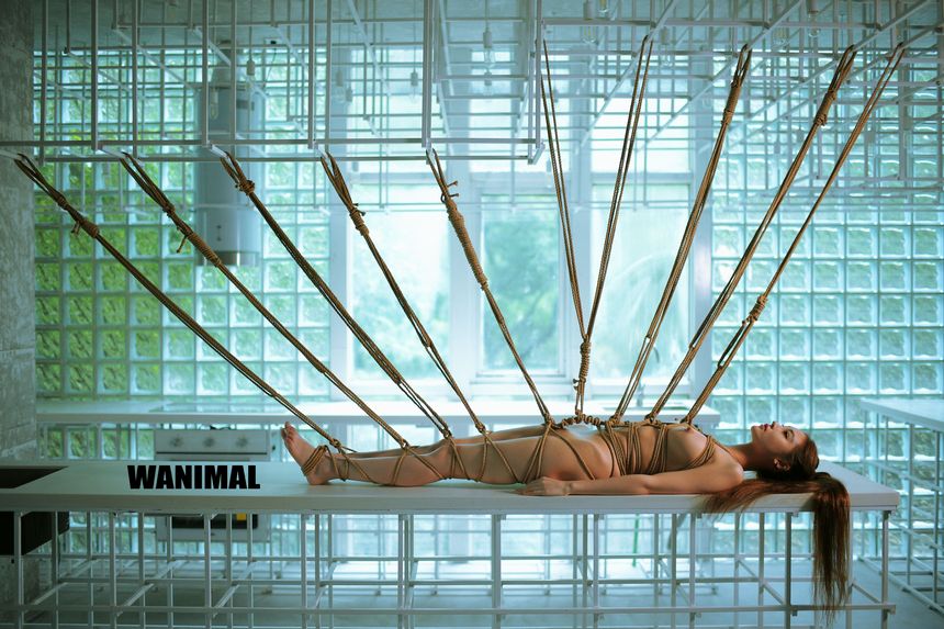 WANIMAL官方出品2017年7月VIP无圣光套图[159P]